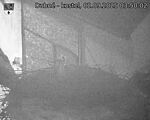 Capi_Dubne_20250902_035002.jpg