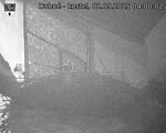 Capi_Dubne_20250902_040002.jpg