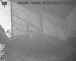 Capi_Dubne_20250902_041503.jpg