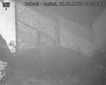 Capi_Dubne_20250902_043003.jpg
