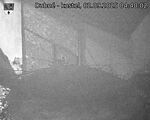 Capi_Dubne_20250902_044002.jpg