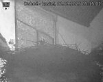 Capi_Dubne_20250902_051502.jpg