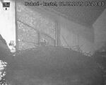 Capi_Dubne_20250902_052003.jpg
