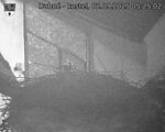 Capi_Dubne_20250902_052502.jpg