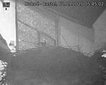 Capi_Dubne_20250902_054502.jpg