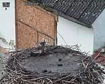 Capi_Dubne_20250902_071503.jpg