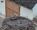 Capi_Dubne_20250902_075003.jpg