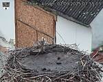 Capi_Dubne_20250902_075503.jpg
