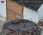 Capi_Dubne_20250902_081002.jpg