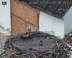 Capi_Dubne_20250902_082003.jpg