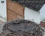 Capi_Dubne_20250902_082504.jpg