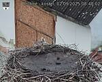 Capi_Dubne_20250902_084002.jpg