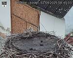 Capi_Dubne_20250902_084503.jpg