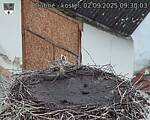 Capi_Dubne_20250902_093003.jpg