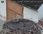 Capi_Dubne_20250902_103003.jpg