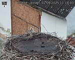 Capi_Dubne_20250902_111003.jpg