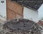 Capi_Dubne_20250902_111503.jpg