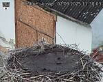 Capi_Dubne_20250902_113003.jpg