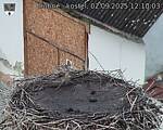 Capi_Dubne_20250902_121003.jpg