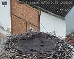 Capi_Dubne_20250902_122503.jpg