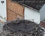 Capi_Dubne_20250902_123003.jpg