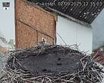 Capi_Dubne_20250902_123503.jpg