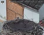 Capi_Dubne_20250902_124003.jpg