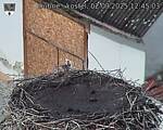 Capi_Dubne_20250902_124503.jpg