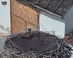 Capi_Dubne_20250902_125003.jpg