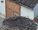 Capi_Dubne_20250902_131003.jpg
