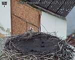 Capi_Dubne_20250902_131503.jpg