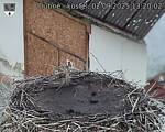 Capi_Dubne_20250902_132003.jpg
