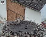 Capi_Dubne_20250902_132503.jpg