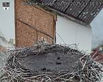 Capi_Dubne_20250902_133003.jpg