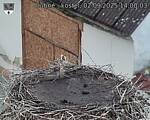 Capi_Dubne_20250902_140003.jpg