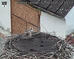 Capi_Dubne_20250902_140503.jpg