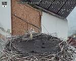 Capi_Dubne_20250902_141003.jpg