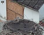 Capi_Dubne_20250902_141504.jpg