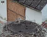 Capi_Dubne_20250902_142504.jpg