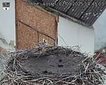 Capi_Dubne_20250902_144503.jpg