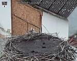 Capi_Dubne_20250902_150503.jpg
