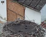 Capi_Dubne_20250902_152003.jpg