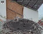 Capi_Dubne_20250902_153503.jpg