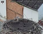 Capi_Dubne_20250902_155003.jpg