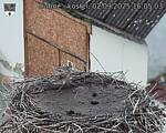 Capi_Dubne_20250902_160503.jpg