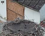 Capi_Dubne_20250902_161004.jpg