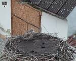 Capi_Dubne_20250902_162003.jpg