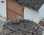 Capi_Dubne_20250902_163503.jpg