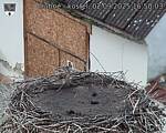 Capi_Dubne_20250902_165003.jpg