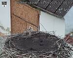 Capi_Dubne_20250902_170003.jpg